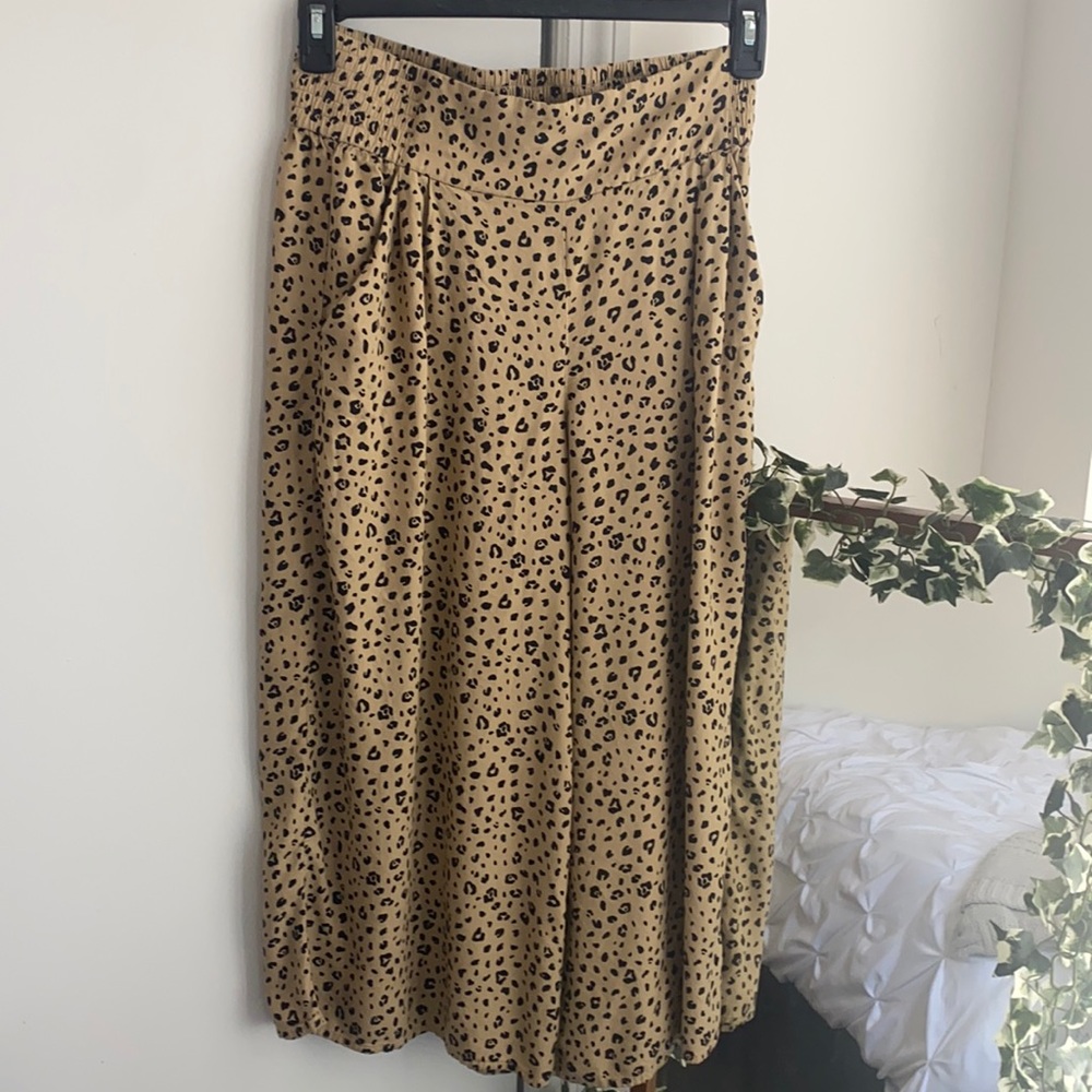 Aritzia Pants